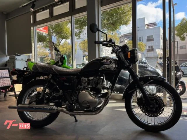 Kawasaki S1 2025 — миниатюра 2