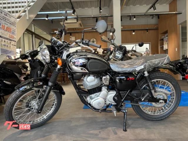 Kawasaki S1 2025 — фото 1, купить с доставкой в Москву