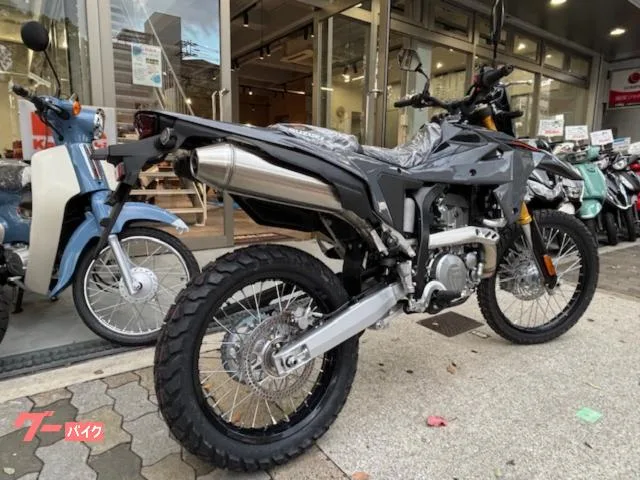 Suzuki DR-Z4S 2025NEW 2025 — миниатюра 2