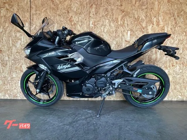 Kawasaki Ninja 250 LEDABS 2022 — миниатюра 2
