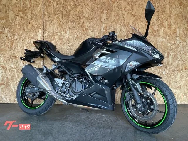 Kawasaki Ninja 250 LEDABS 2022 — миниатюра 3