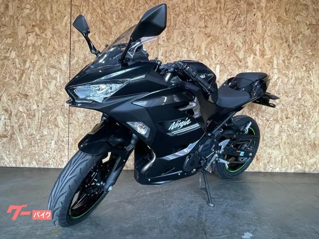 Kawasaki Ninja 250 LEDABS 2022 — миниатюра 4