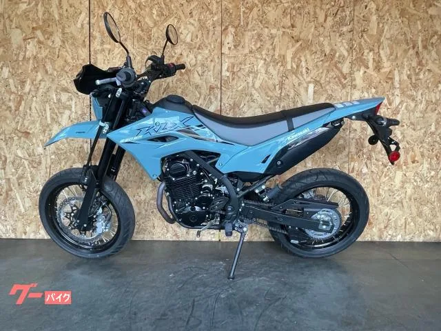 Kawasaki KLX230SM R99 2025 — миниатюра 2