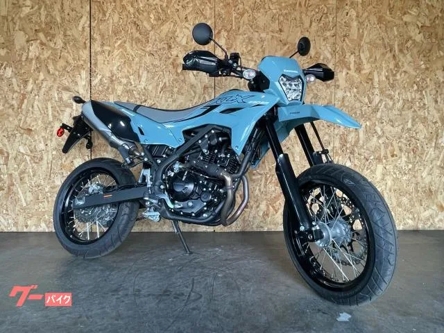 Kawasaki KLX230SM R99 2025 — миниатюра 3