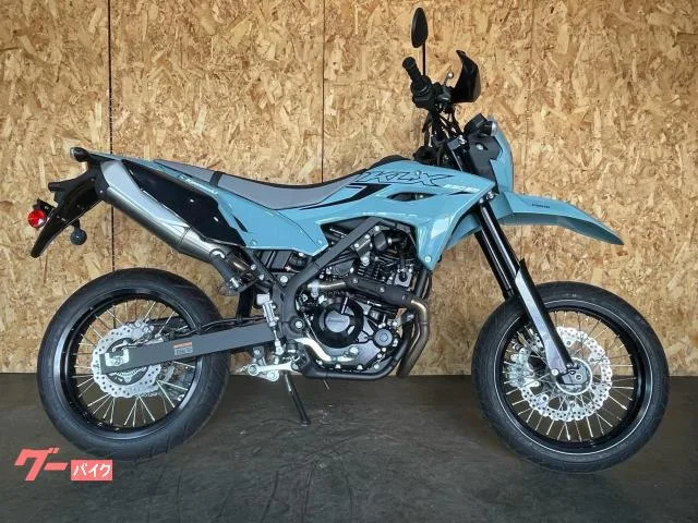 Kawasaki KLX230SM R99 2025 — фото 1, купить с доставкой в Москву
