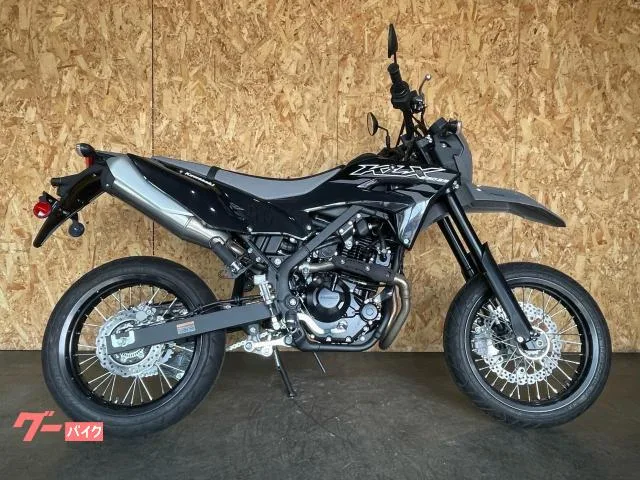 Kawasaki KLX230SM 2026 2026 — фото 1, купить с доставкой в Москву