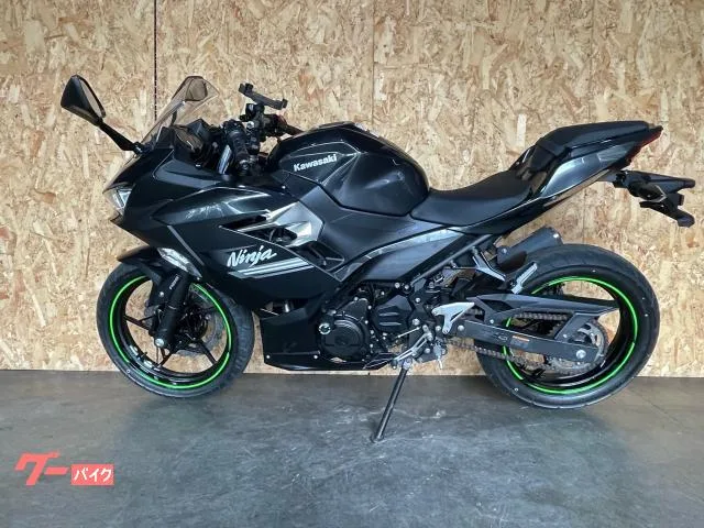 Kawasaki Ninja 250 2022 — миниатюра 2