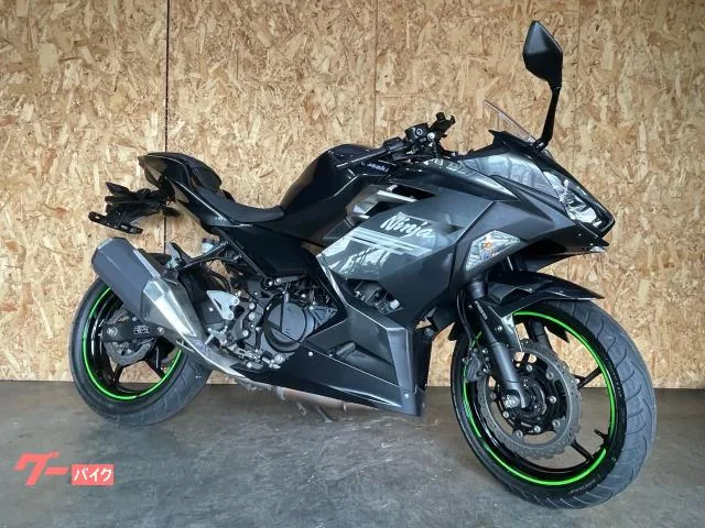 Kawasaki Ninja 250 2022 — миниатюра 3