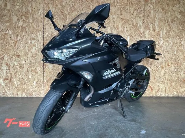 Kawasaki Ninja 250 2022 — миниатюра 4