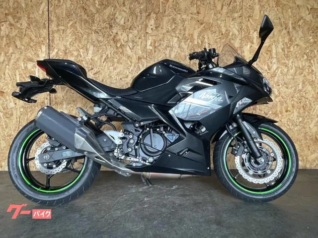 Kawasaki Ninja 250 2022 — фото 1, купить с доставкой в Москву