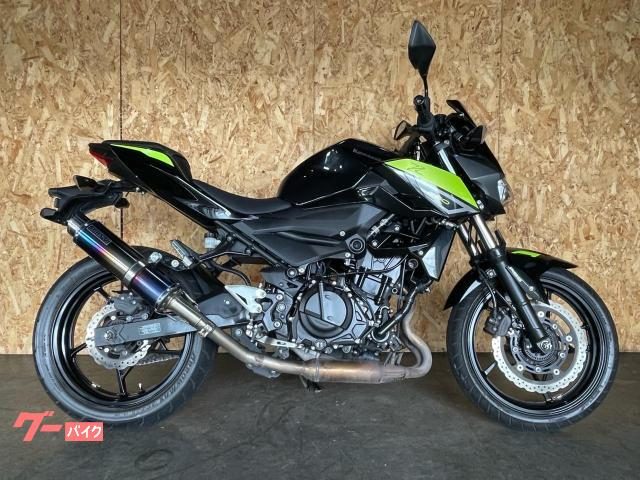 Kawasaki Z250 2022