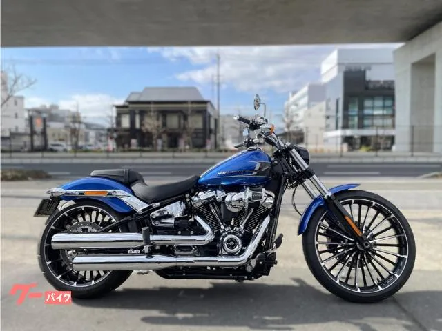 HARLEY-DAVIDSON FXBR 2024 — фото 1, купить с доставкой в Москву