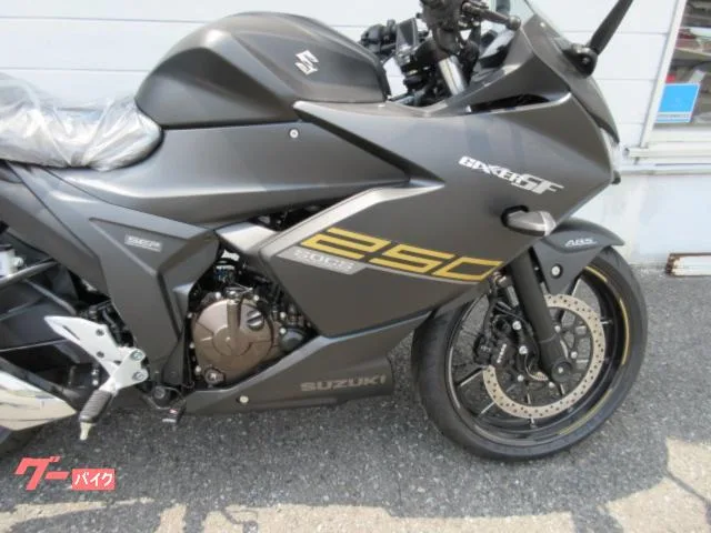 Suzuki GIXXER SF 250 2022 — миниатюра 3