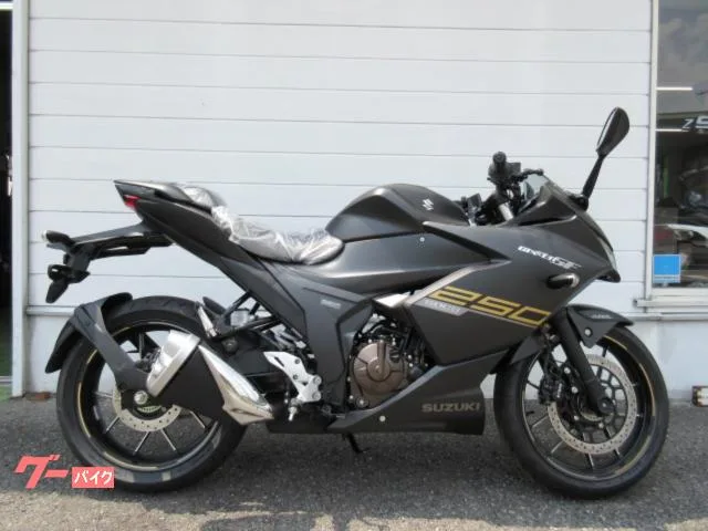 Suzuki GIXXER SF 250 2022 — фото 1, купить с доставкой в Москву