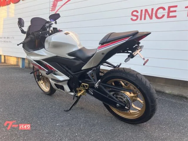 Yamaha YZF-R25 WGP 60 2022 /// 2022 — миниатюра 5