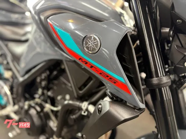 Yamaha MT-25 ETC 2022 — миниатюра 4