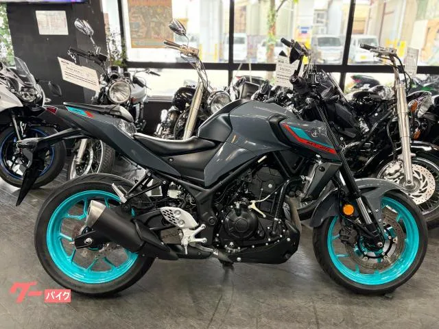 Yamaha MT-25 ETC 2022 — фото 1, купить с доставкой в Москву