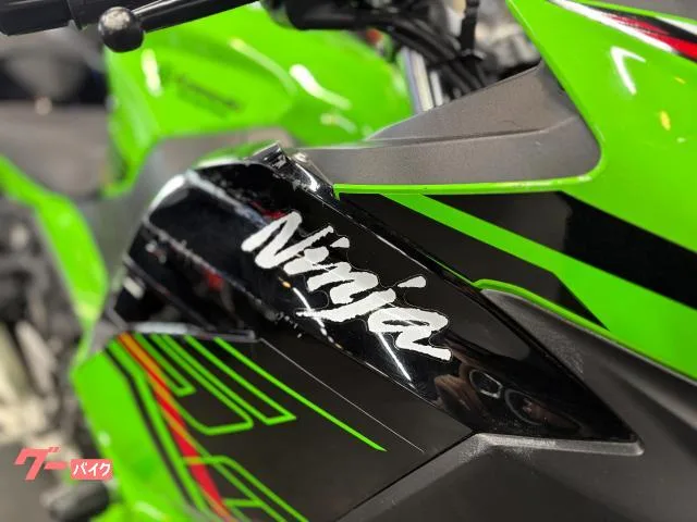Kawasaki Ninja 250 KRT 2023 — миниатюра 4
