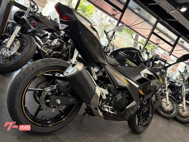 Kawasaki Ninja 400 2 2022 — миниатюра 3