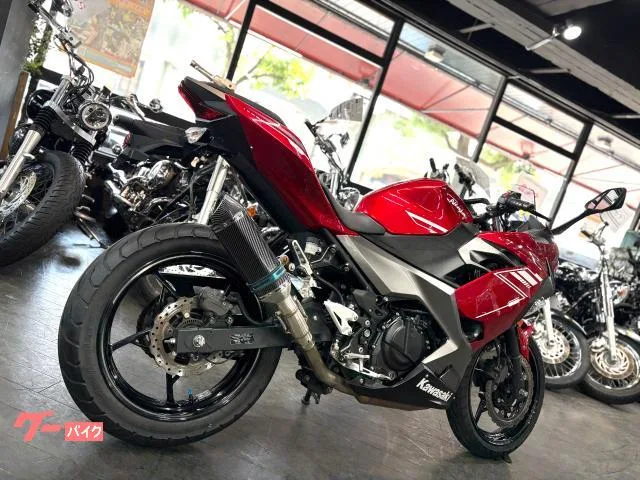 Kawasaki Ninja 250 2022 — миниатюра 3