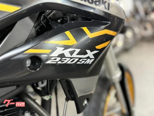 Kawasaki KLX230SM 2023 — миниатюра 3