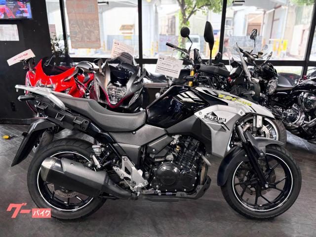 Suzuki V-Strom 250 2024