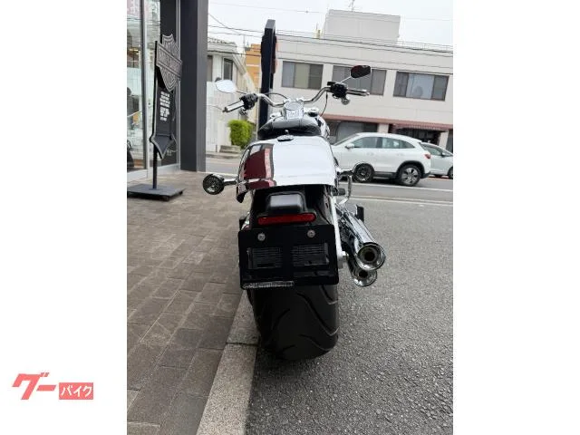 HARLEY-DAVIDSON FLSTFI 35 2025 — миниатюра 2