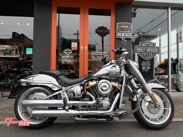 HARLEY-DAVIDSON FLSTFI 35 2025 — фото 1, купить с доставкой в Москву