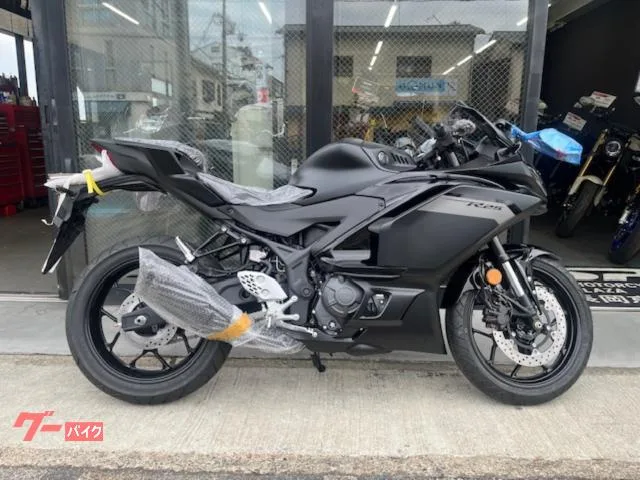 Yamaha YZF-R25 2025 — фото 1, купить с доставкой в Москву