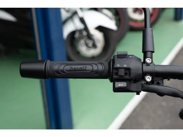 BENELLI 250 2023 — миниатюра 2