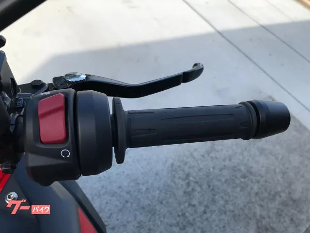 BMW G310GS ETC2.0 LED 2024 — миниатюра 2