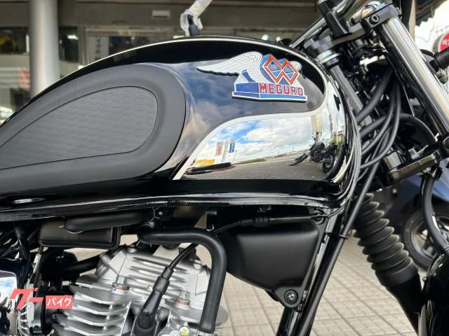 Kawasaki S1 2025 — миниатюра 2
