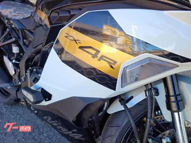 Kawasaki Ninja ZX-4R SE x 2026 — миниатюра 2