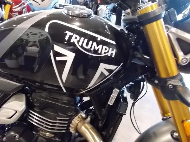 TRIUMPH 400 2025 — миниатюра 4