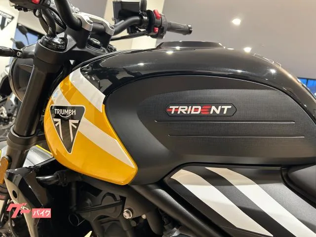 TRIUMPH 660 2025 — миниатюра 2