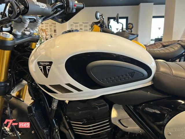 TRIUMPH 400XC// 2026 — миниатюра 4