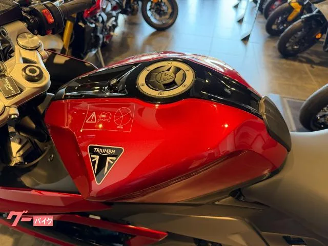 TRIUMPH 660 2024 — миниатюра 2