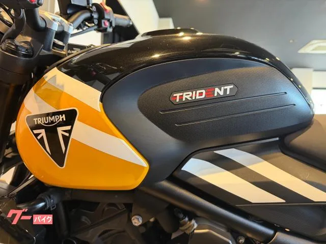 TRIUMPH 660 2025 — миниатюра 5