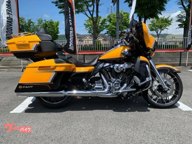 HARLEY-DAVIDSON CVO FLHXSE 2022 — фото 1, купить с доставкой в Москву