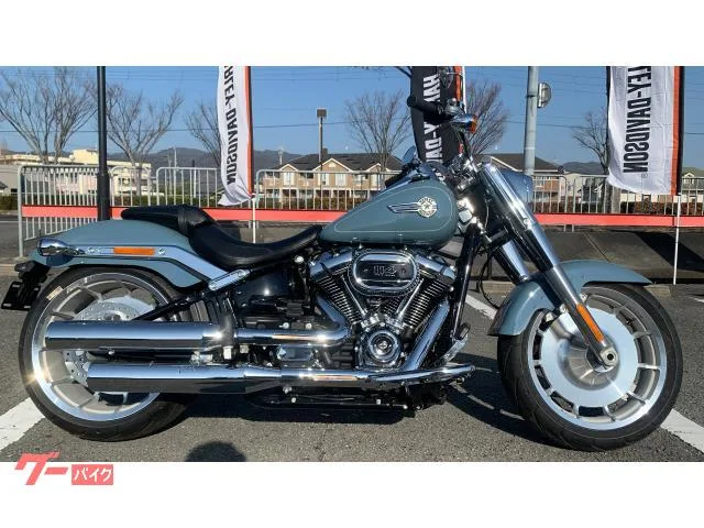 HARLEY-DAVIDSON FLFBS 114 2024 — фото 1, купить с доставкой в Москву