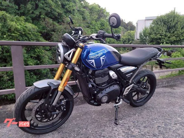 TRIUMPH 400 / 2025 — миниатюра 4