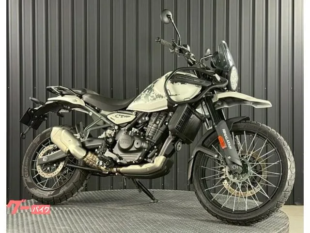 ROYAL ENFIELD 450 DOHC4 2024 — фото 1, купить с доставкой в Москву