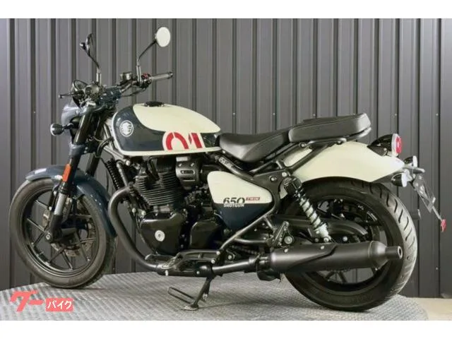 ROYAL ENFIELD 650 OPLED OP 2024 — миниатюра 3