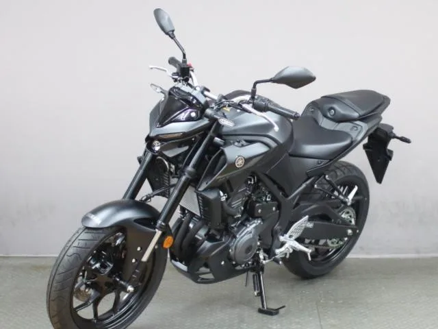 Yamaha MT-25 ABS 25 2025 — миниатюра 3