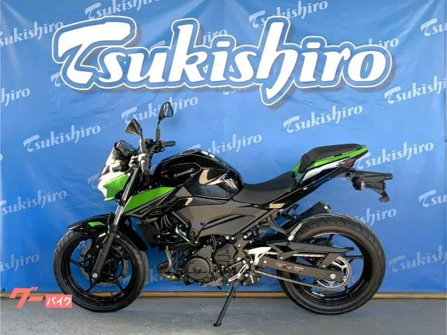 Kawasaki Z250 2023 — миниатюра 4