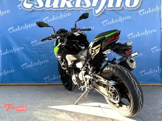 Kawasaki Z250 2023 — миниатюра 5