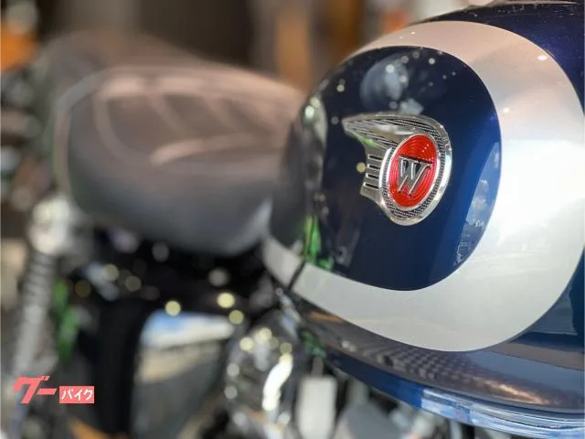 Kawasaki W230 MY2025 2025 — миниатюра 5