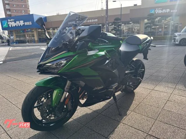 Kawasaki Ninja 1100 SX SE 2025 — миниатюра 2