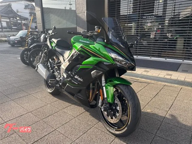 Kawasaki Ninja 1100 SX SE 2025 — миниатюра 3
