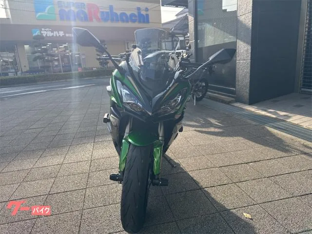 Kawasaki Ninja 1100 SX SE 2025 — миниатюра 4